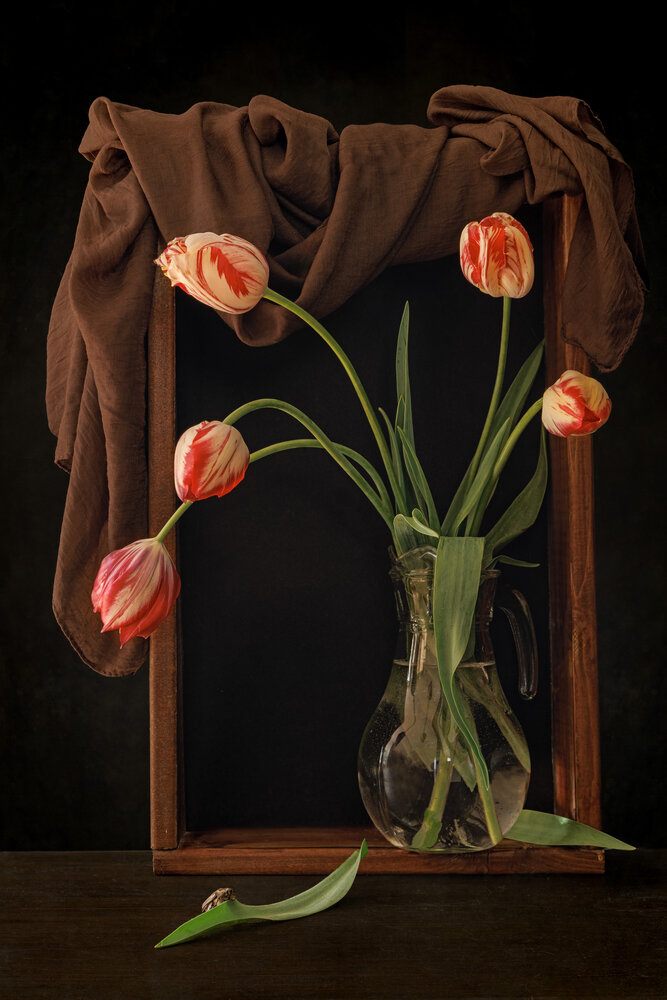 Photograph by Елена Овчинникова