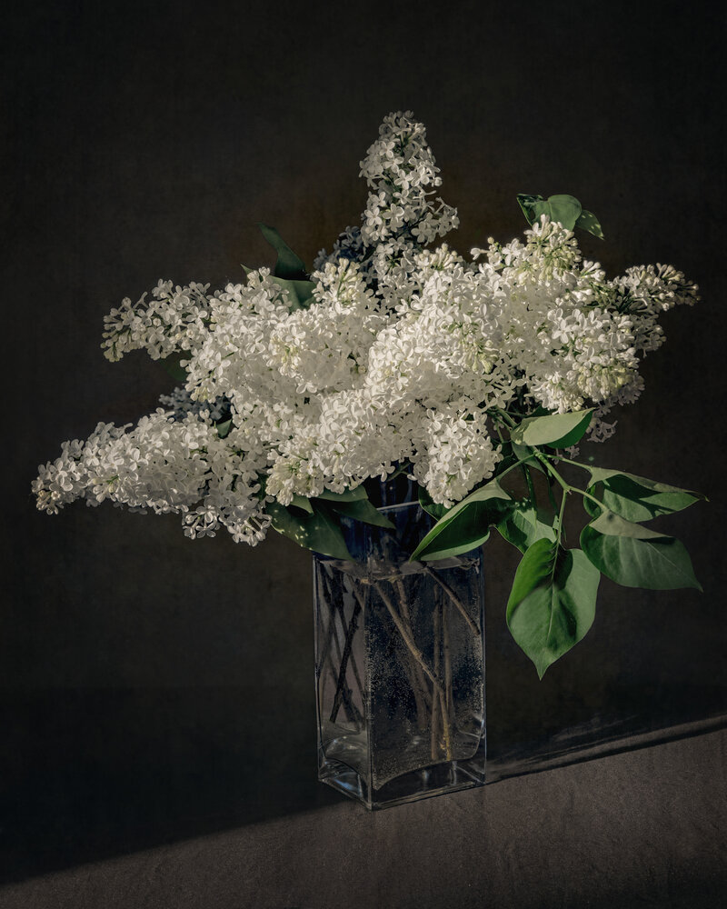 Photograph by Елена Овчинникова
