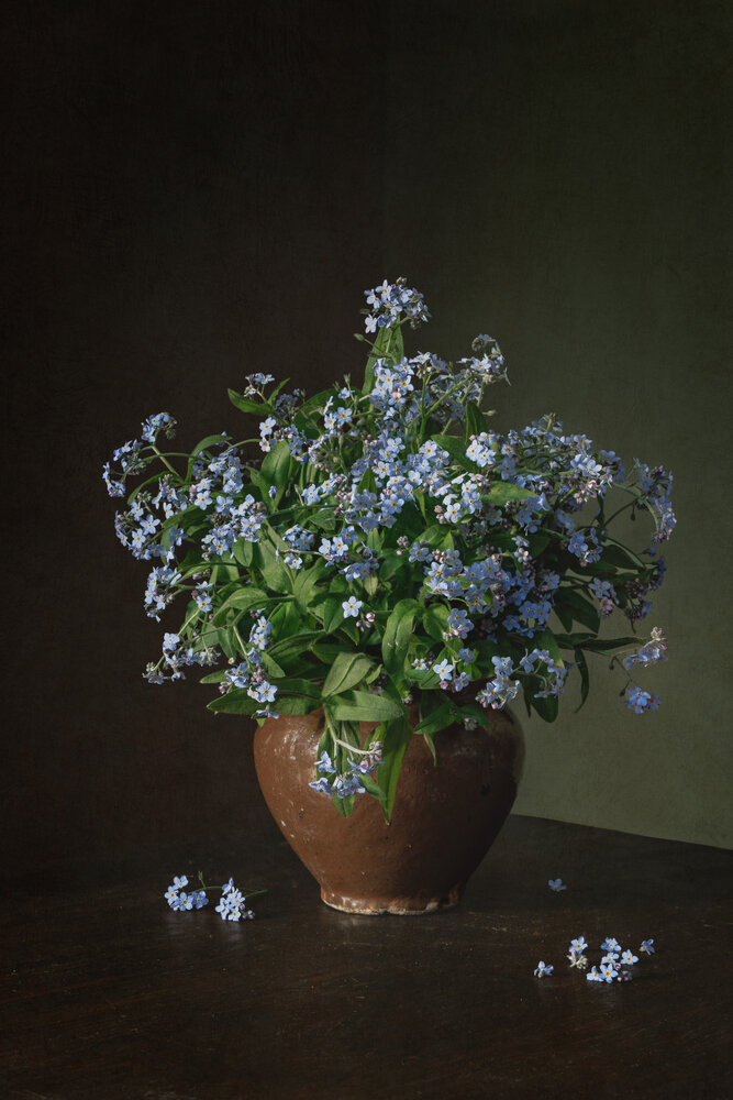 Photograph by Елена Овчинникова