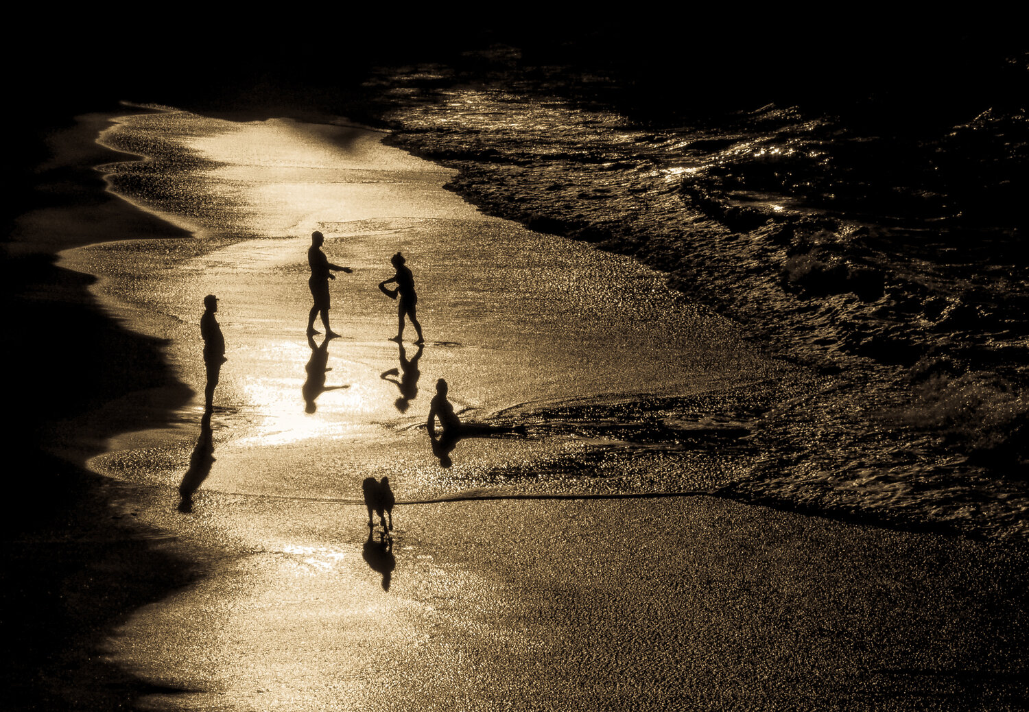 Photo #13906524