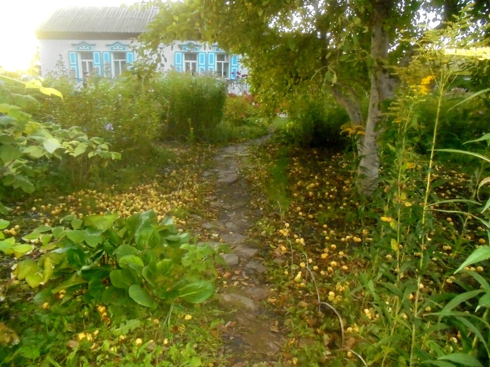 Photograph by Лилия Исхакова