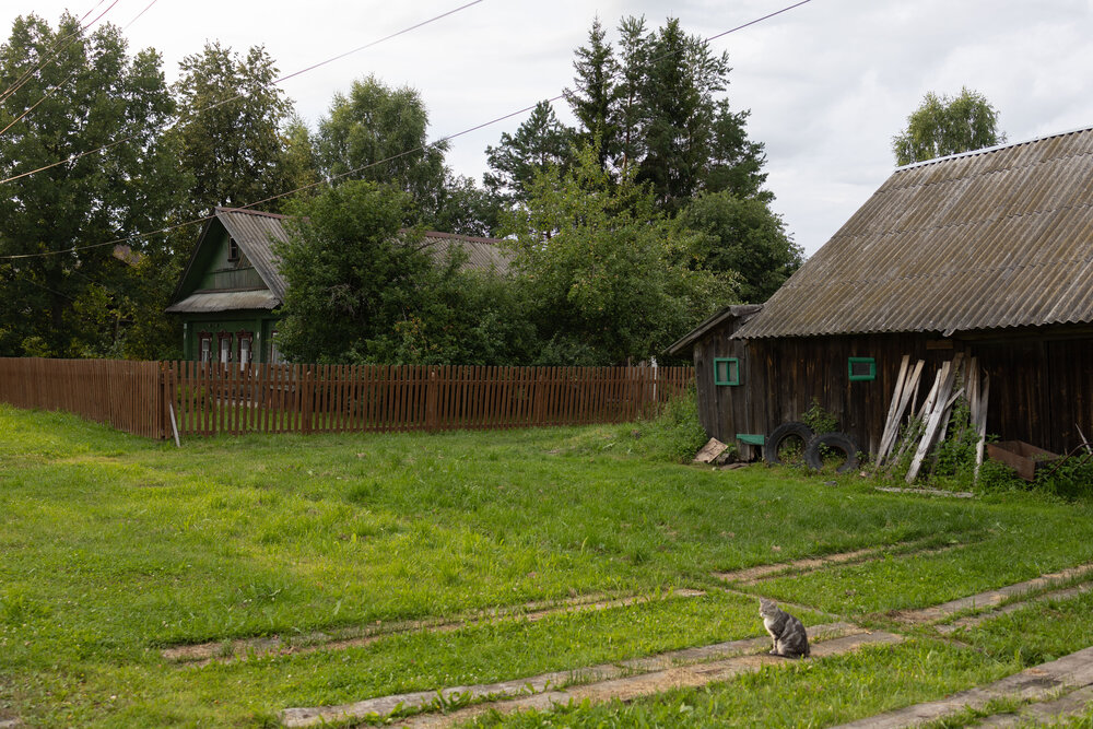 Photograph by Наталья Латыпова