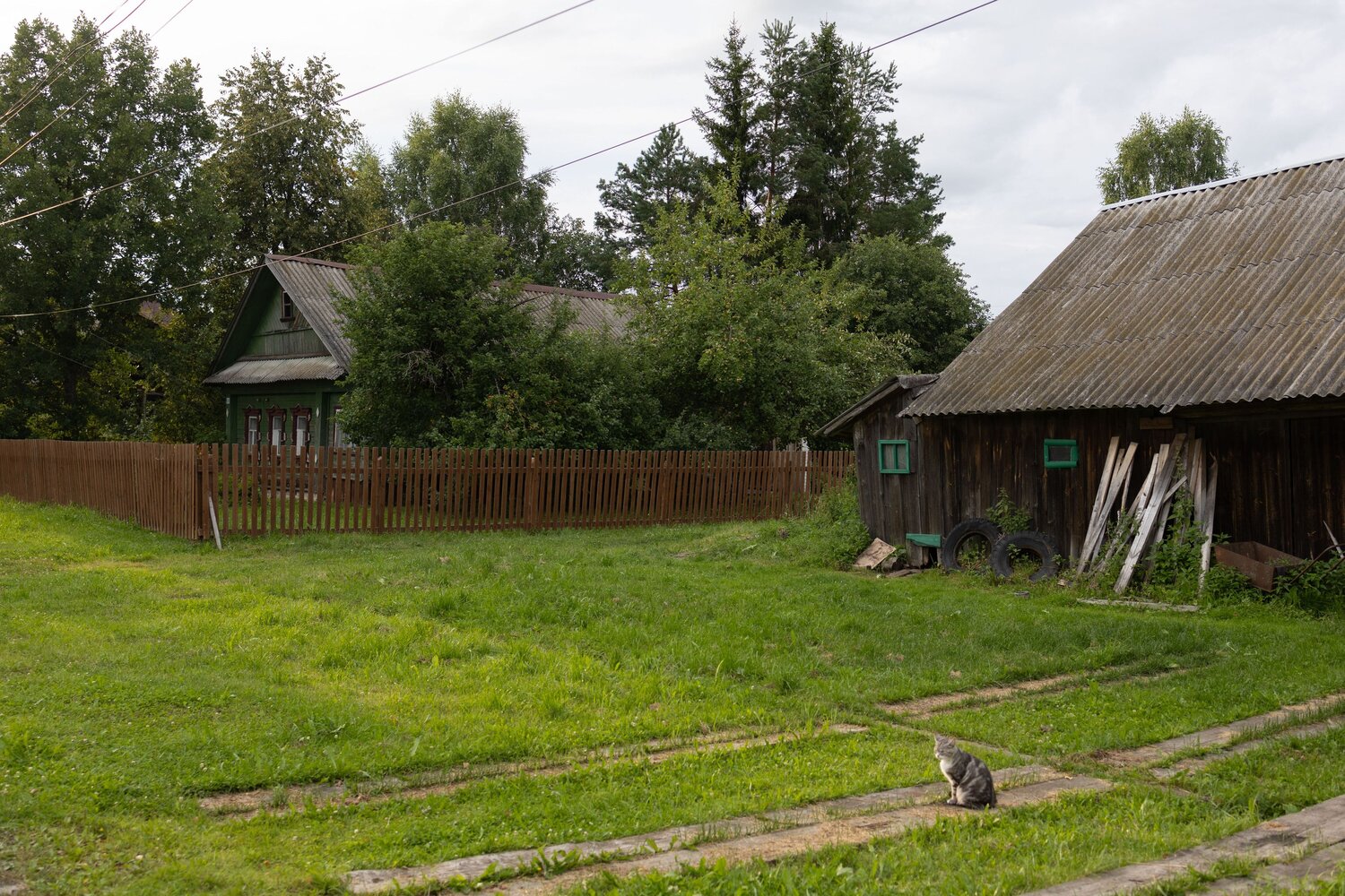 Photo #13906537