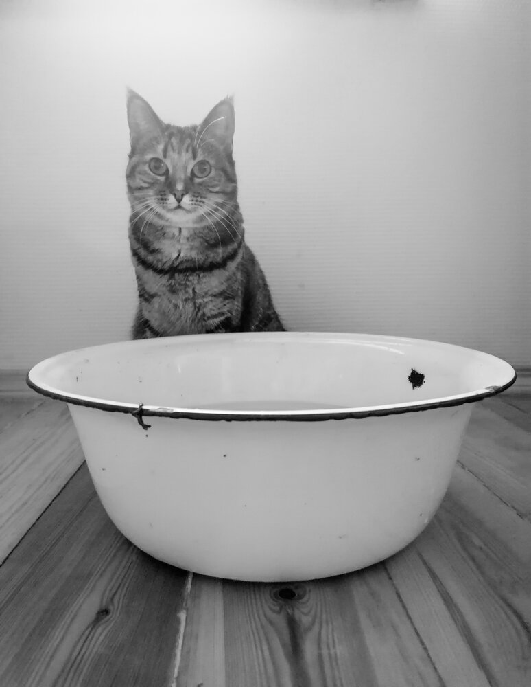 Photograph by Наталья Буталова