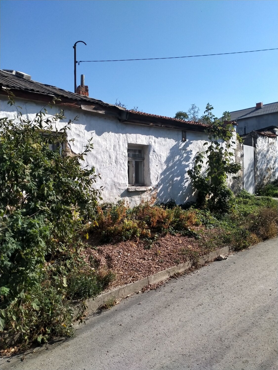 Photo #13906576