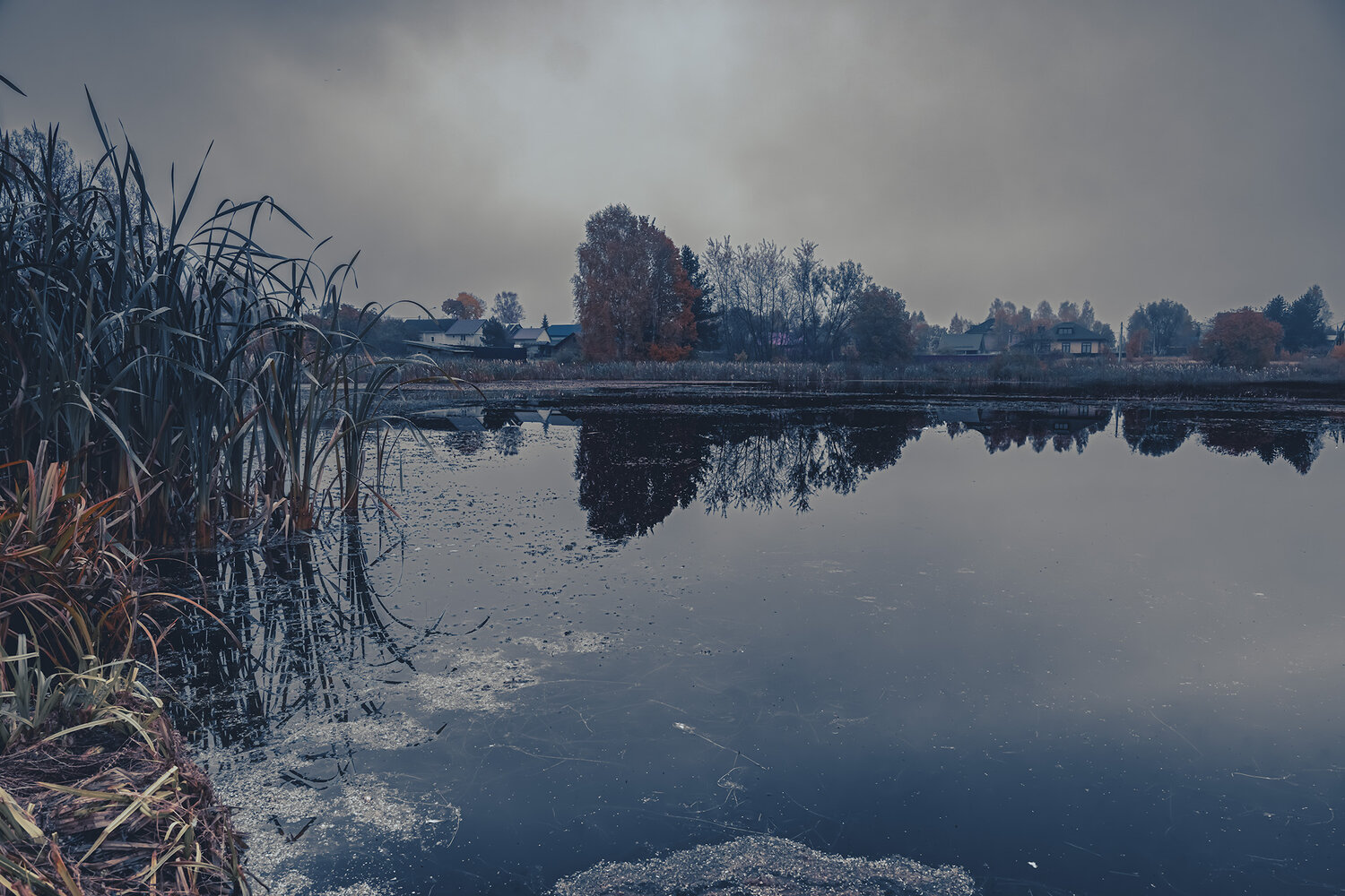 Photo #13906582
