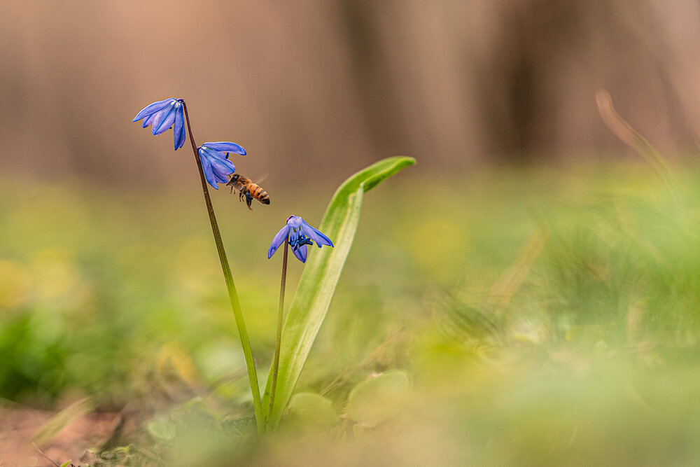 Photograph by Рябов Игорь