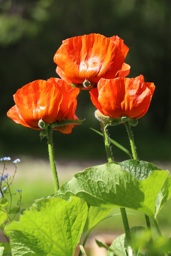 Photograph by Елена Клементьевская