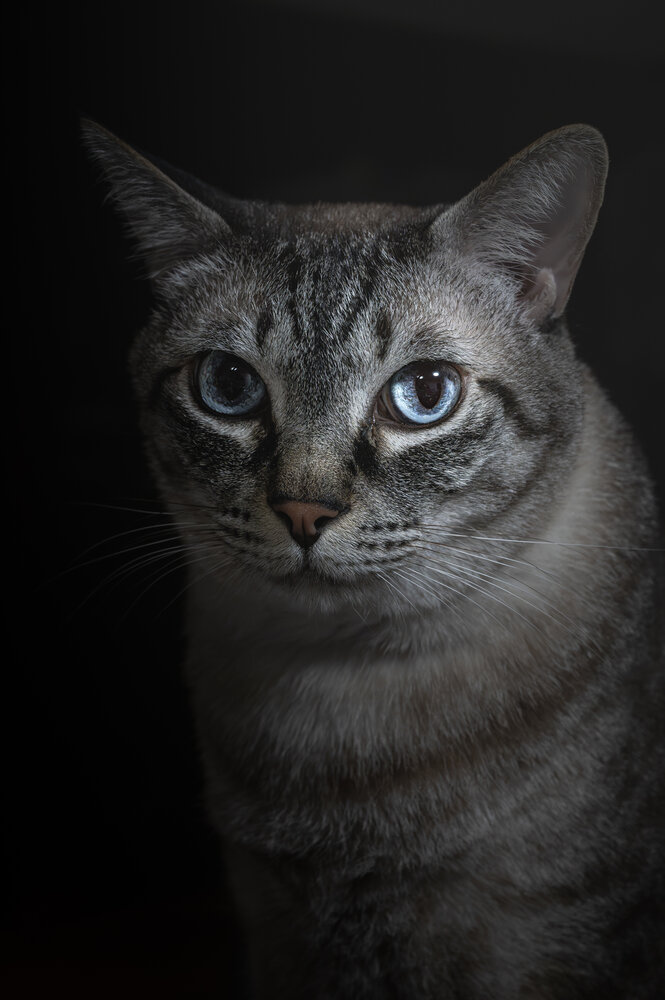 Photograph by KOSHI MASAKI