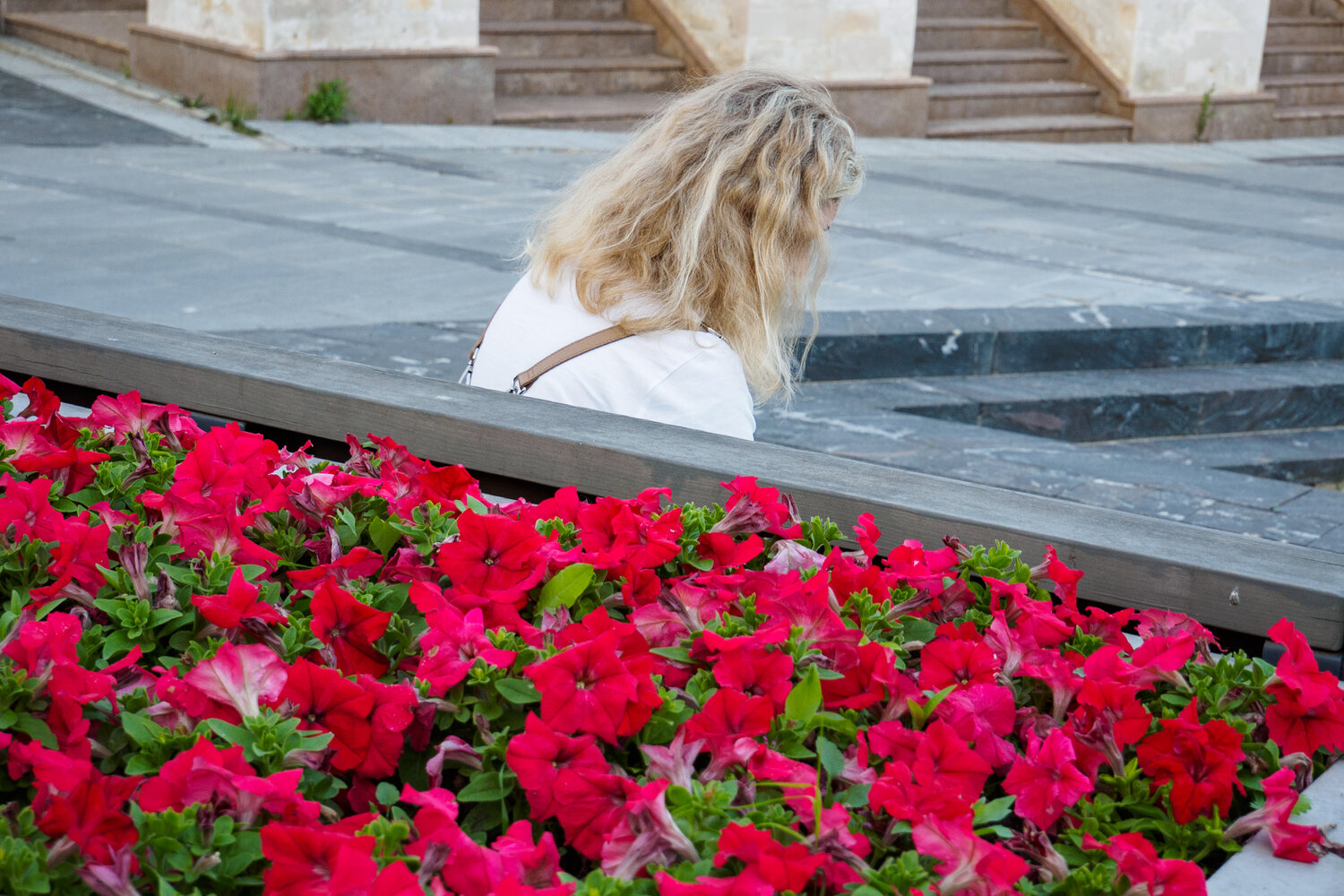Photo #13906705
