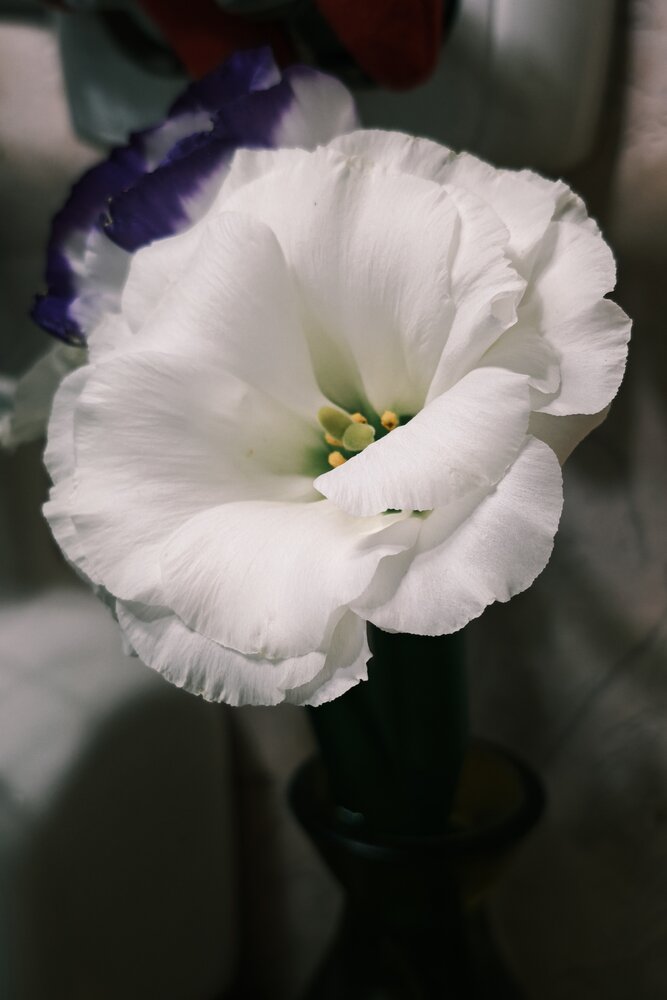 Photo #13906710