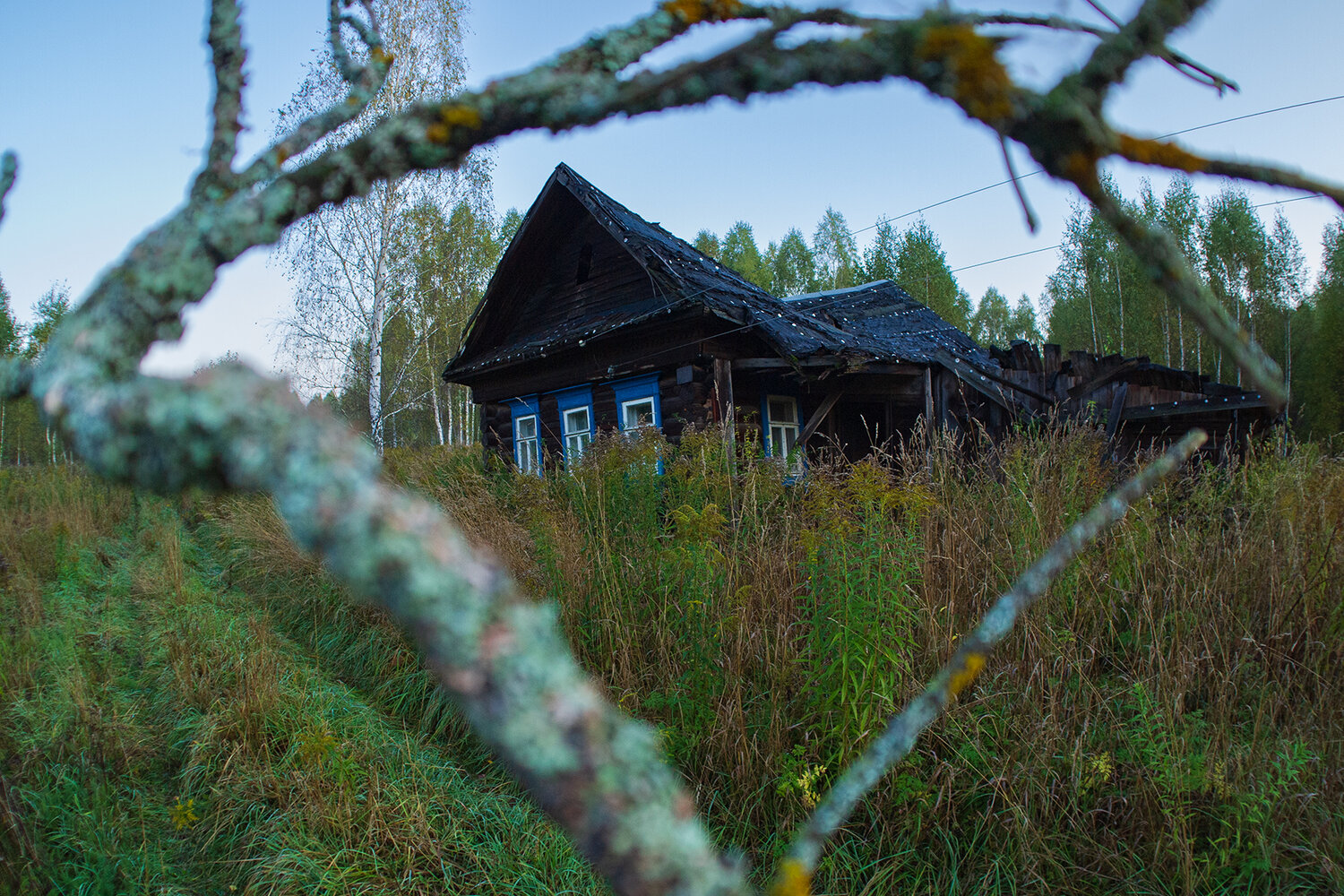 Photo #13906714