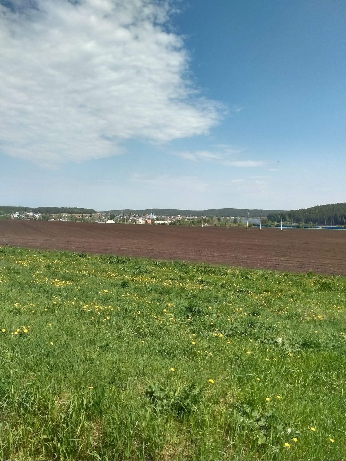 Photo #13906734