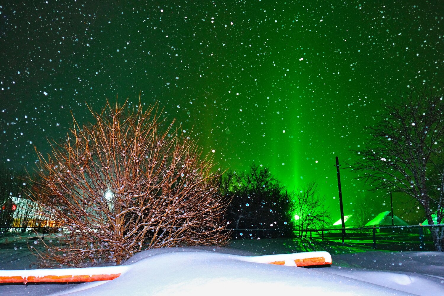 Photo #13906756