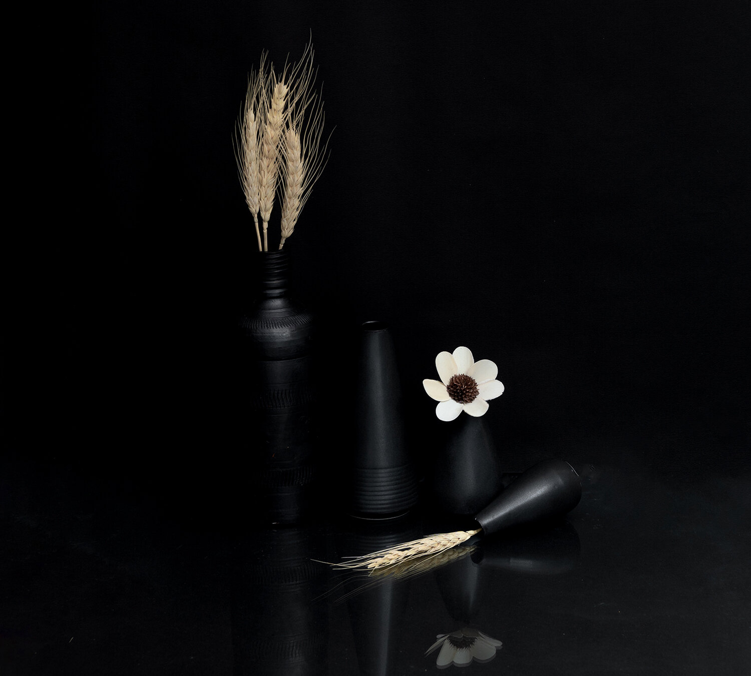 WHERE SILENCE BLOOM