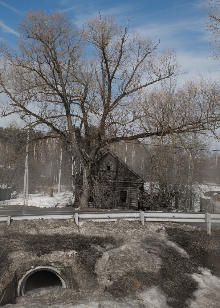 Photograph by Ольга Лобачёва