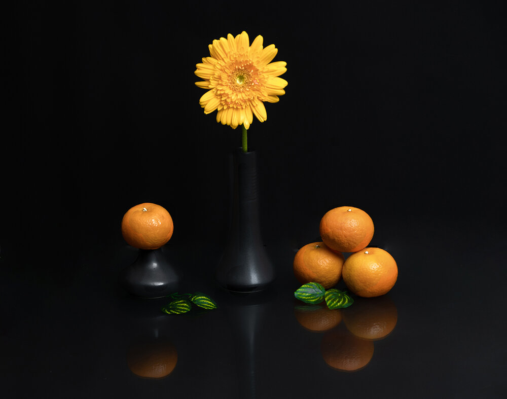 GOLDEN HARMONY