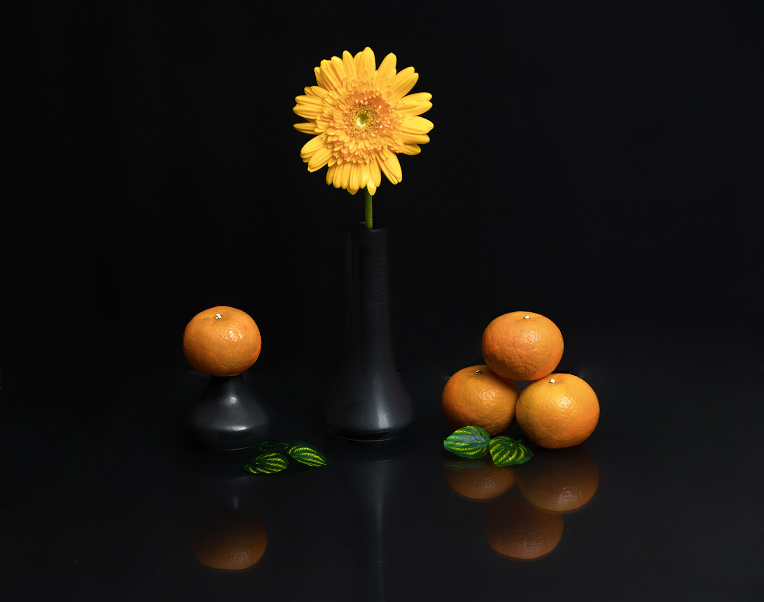 GOLDEN HARMONY