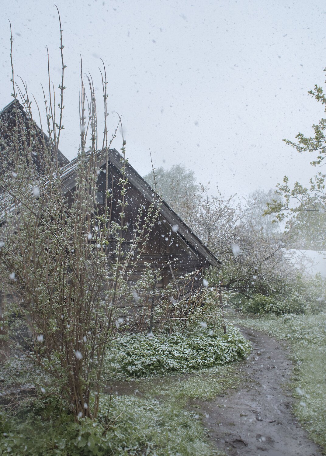 Photo #13906792