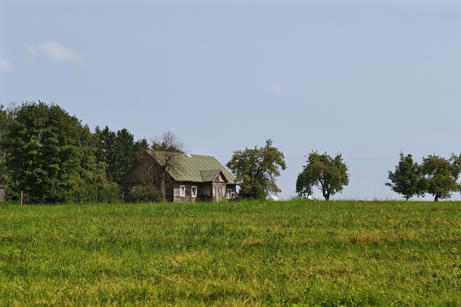 Photo #13906802