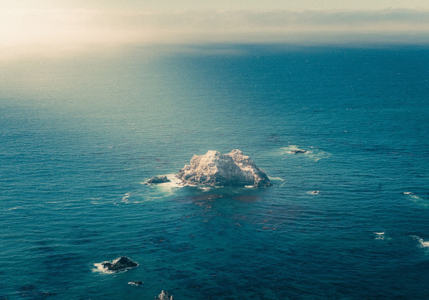 Photo #13906809
