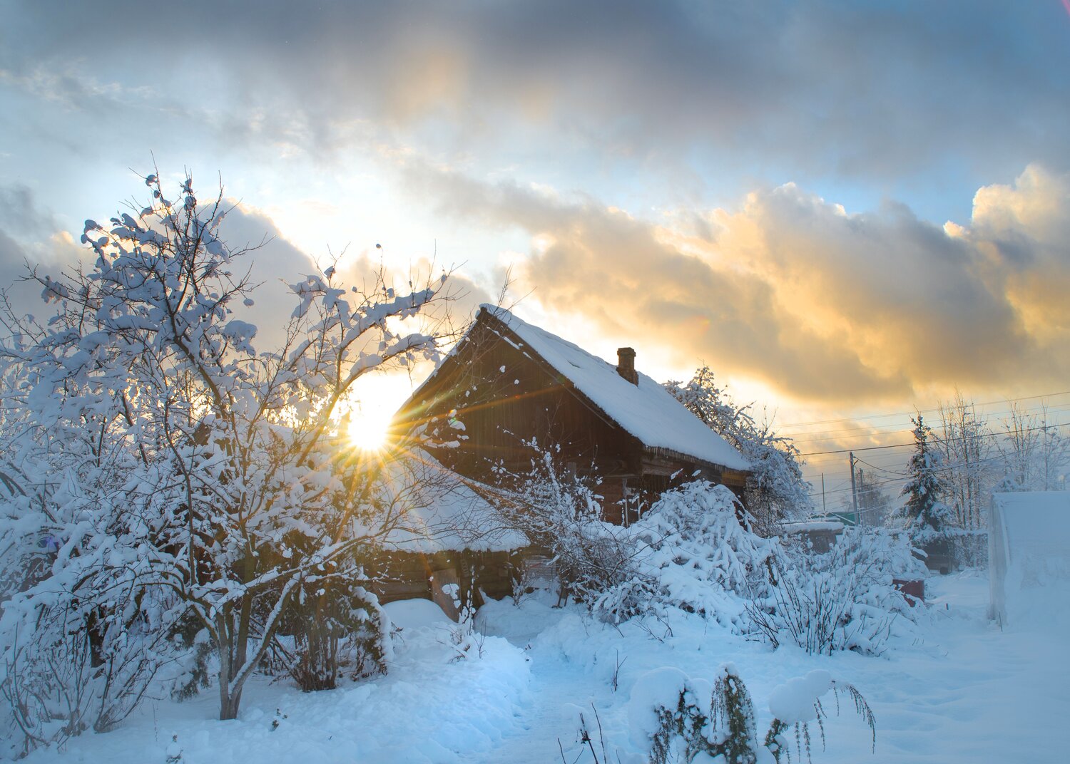 Photo #13906825