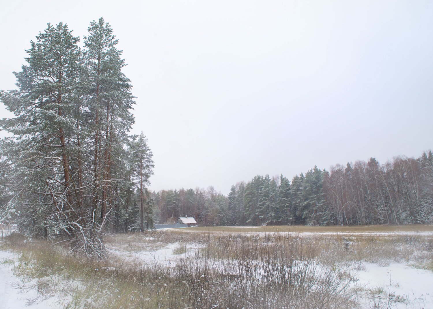 Photo #13906828