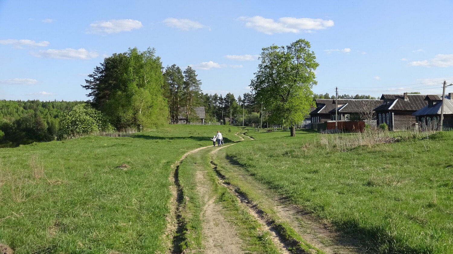 Конюково весной
