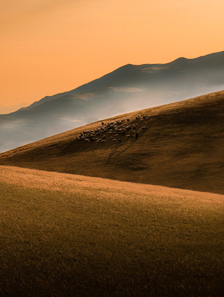 Photograph by Alireza Masoumy