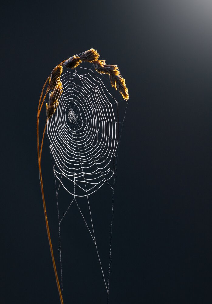 Photograph by Дарья