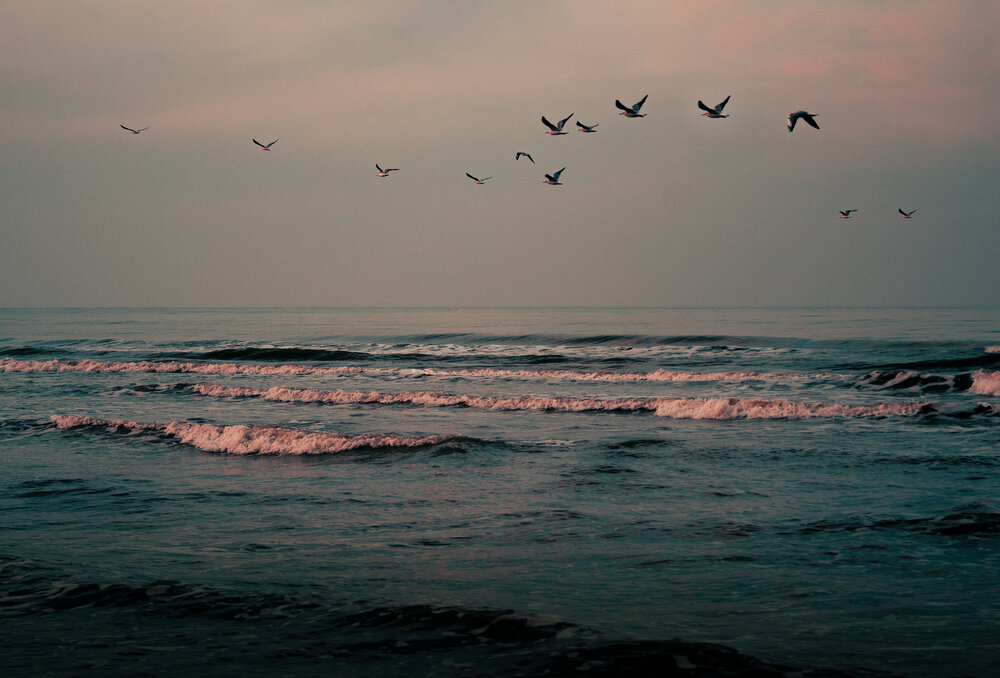 Photograph by Alireza Masoumy