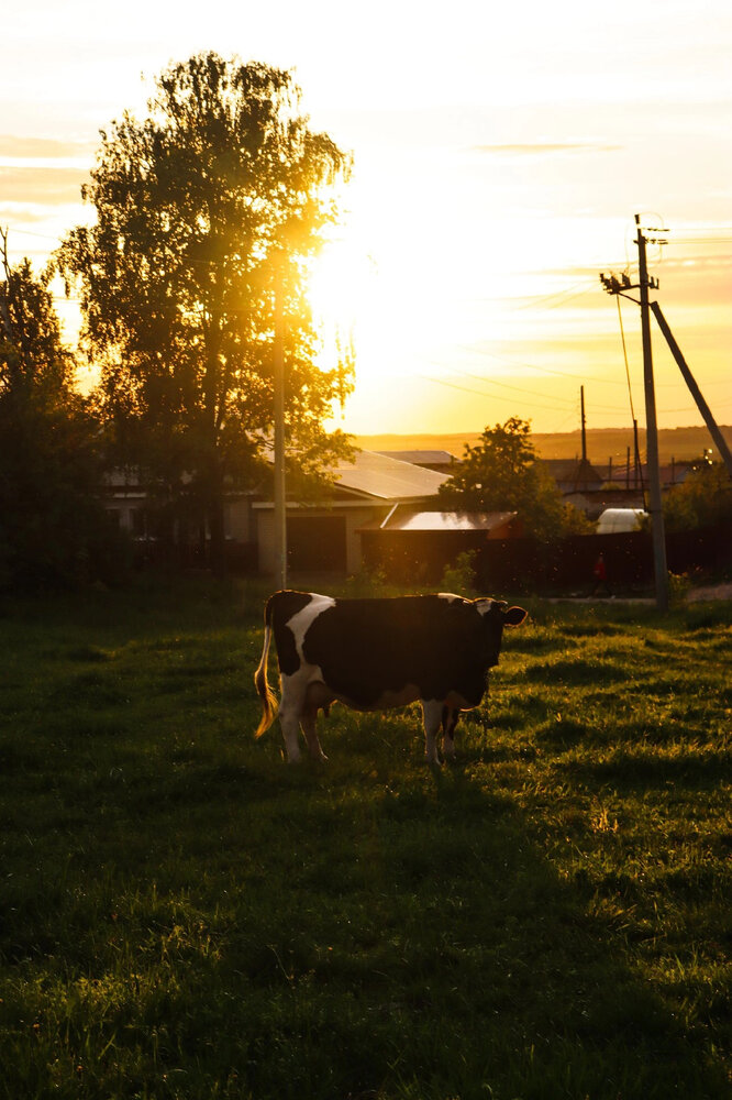 Photograph by Анна Крутова
