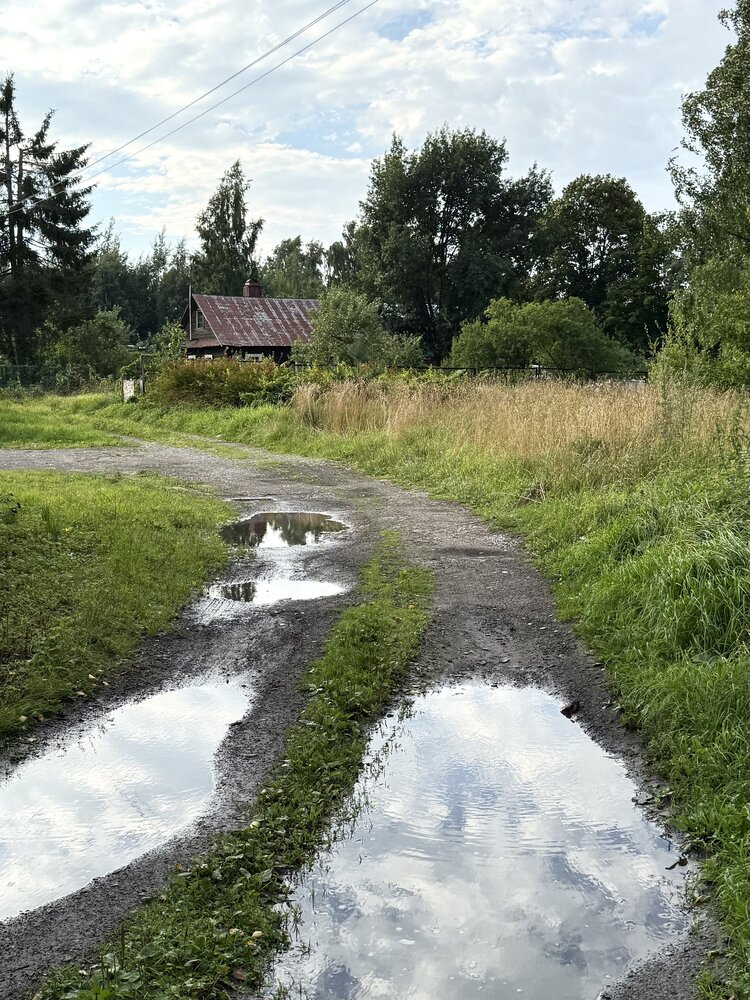 Photograph by Ирина Сорока