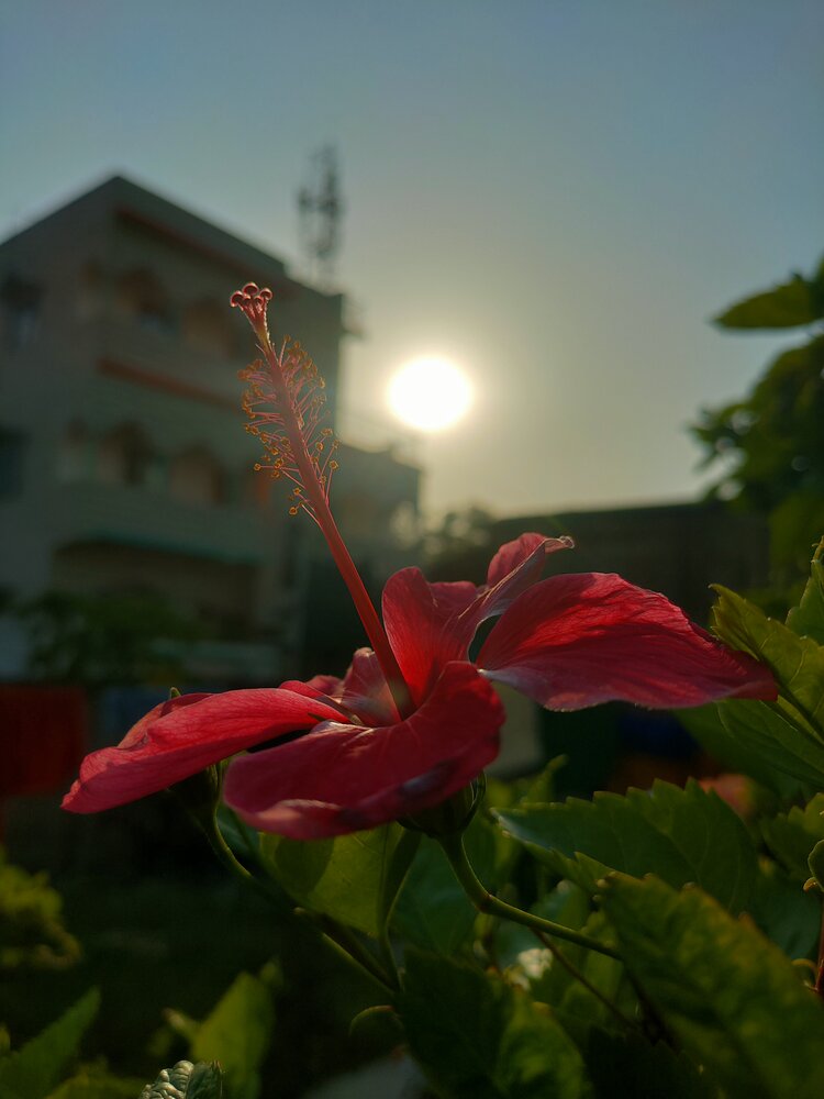 Photograph by Sayantan Pandey