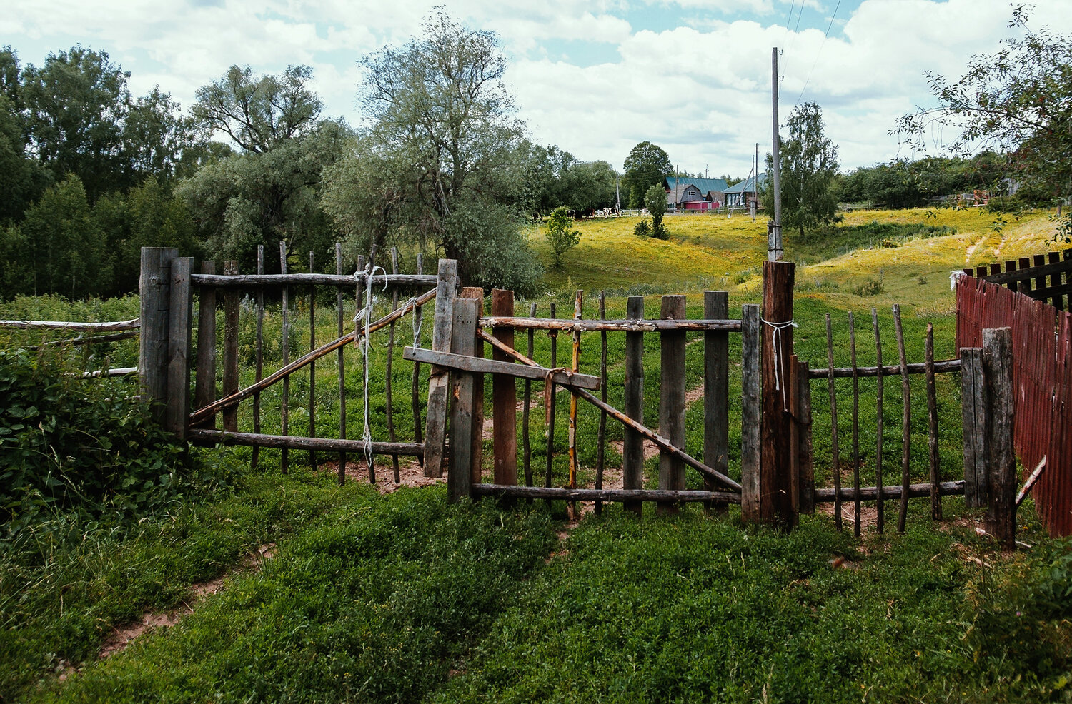 Photo #13907076