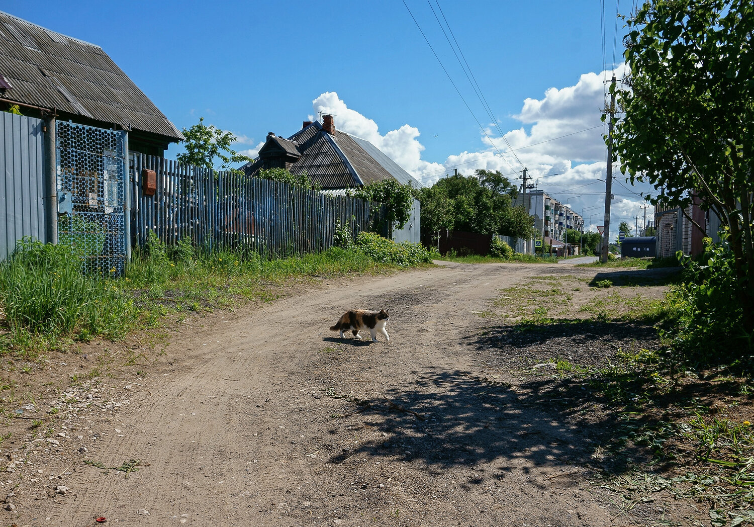 Photo #13907077