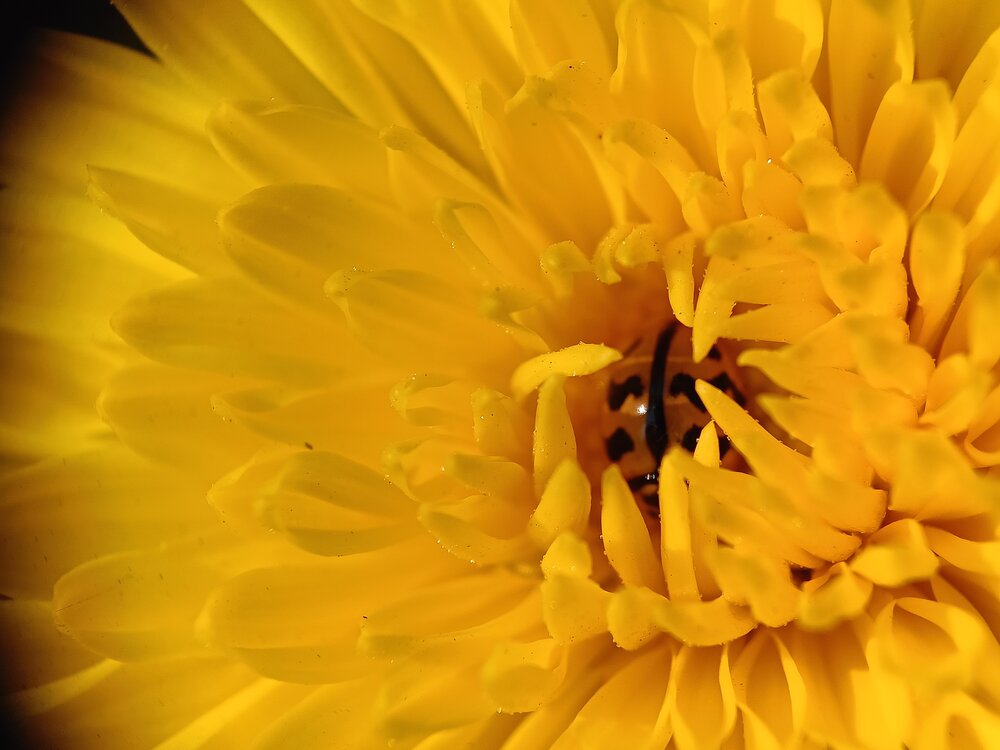 Photograph by Sayantan Pandey