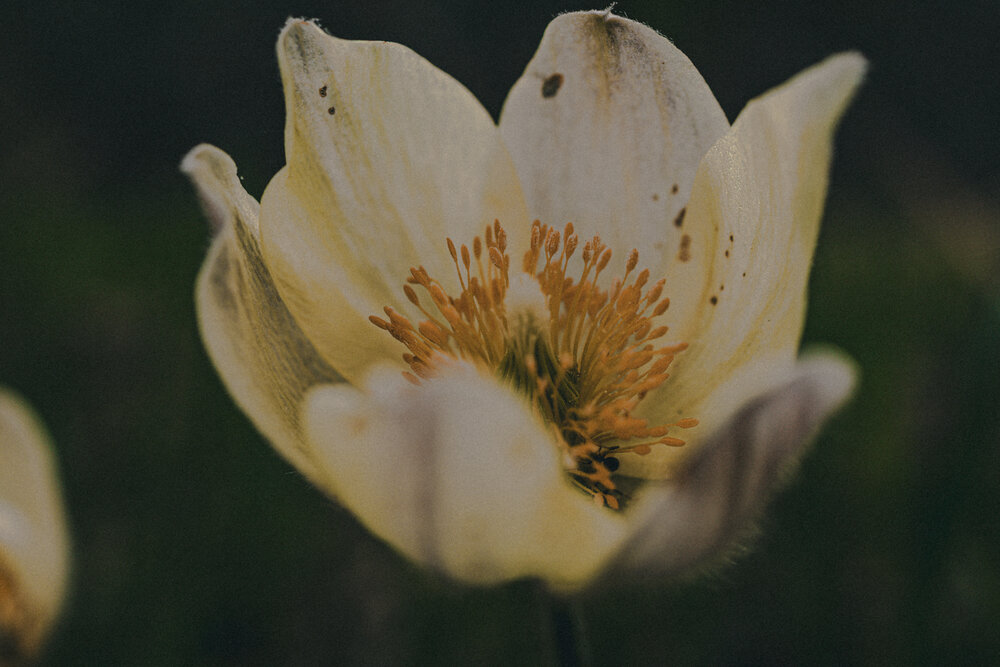 Photograph by Кристина Аносова