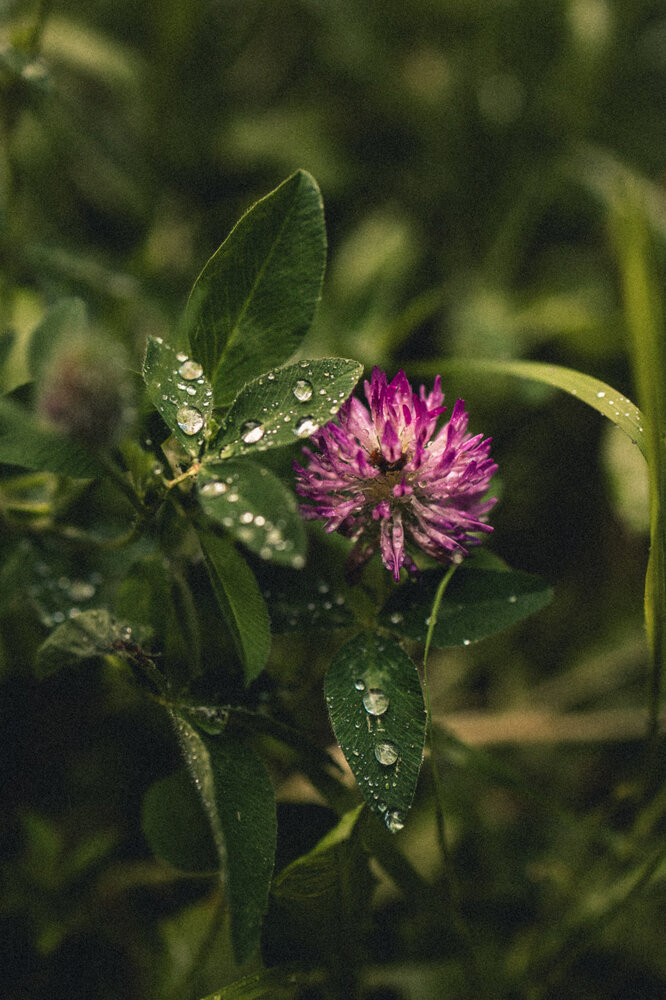 Photograph by Кристина Аносова