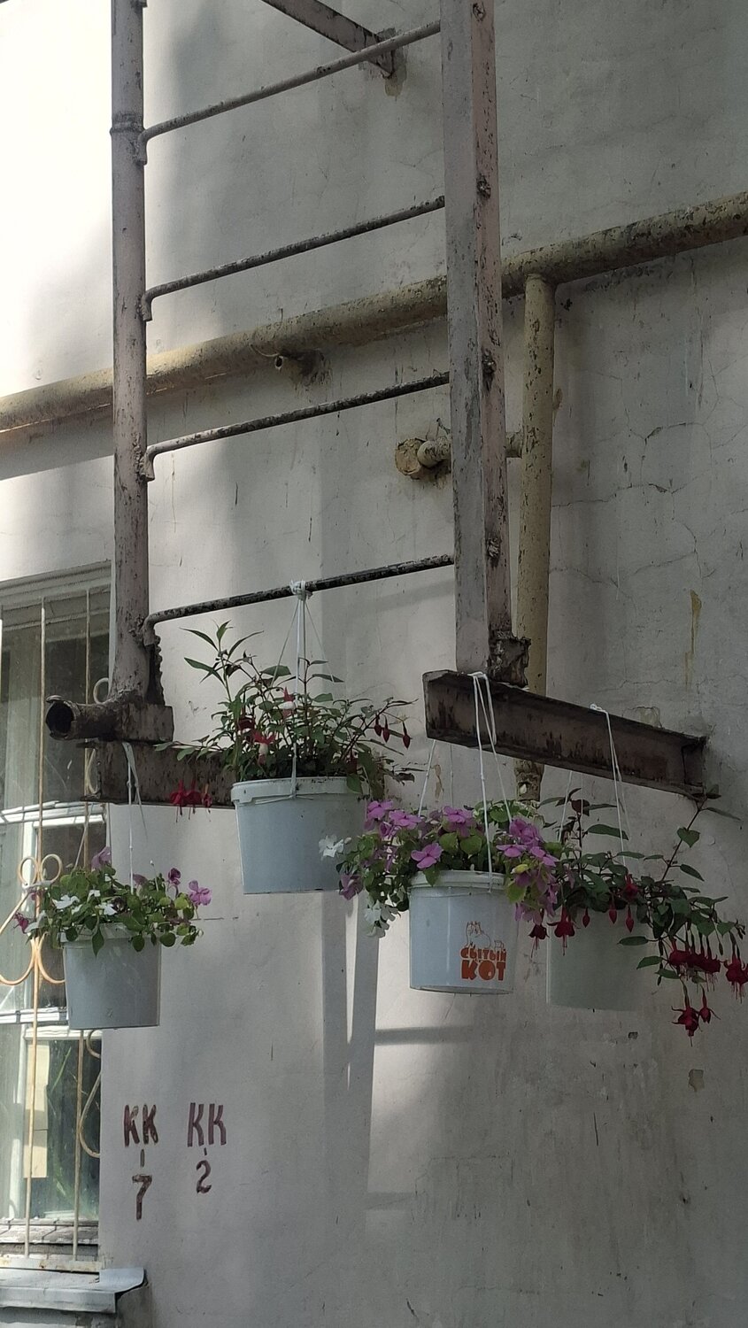 Photo #13907115