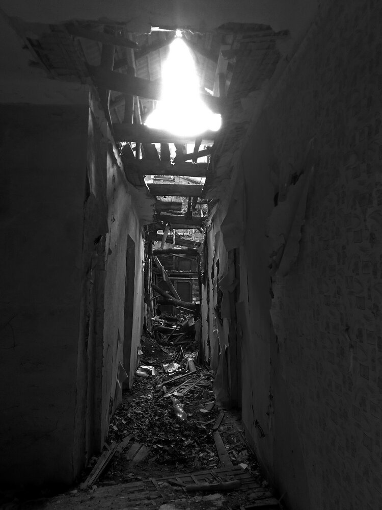 Photo #13907188