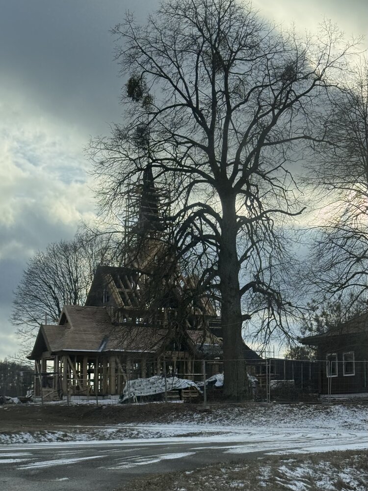 Фотография автора Жанна Колесникова