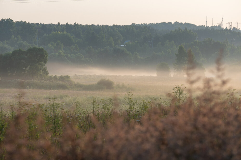 Photograph by Захаров Максим