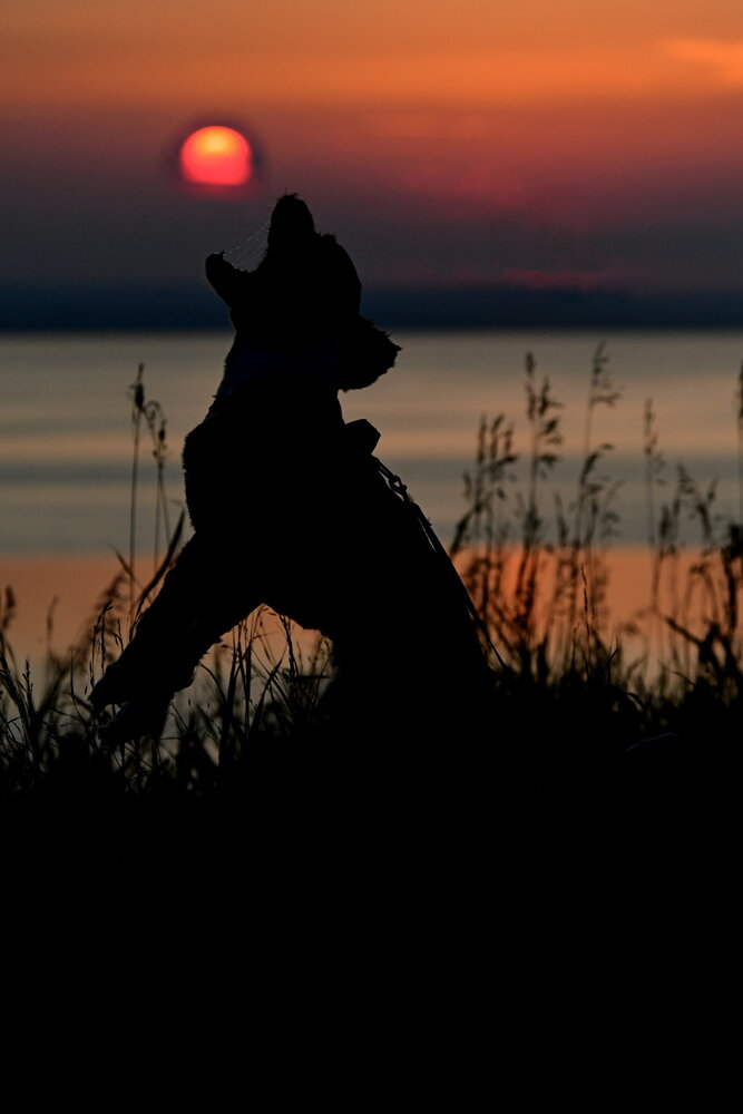 Photograph by Алексей Volg