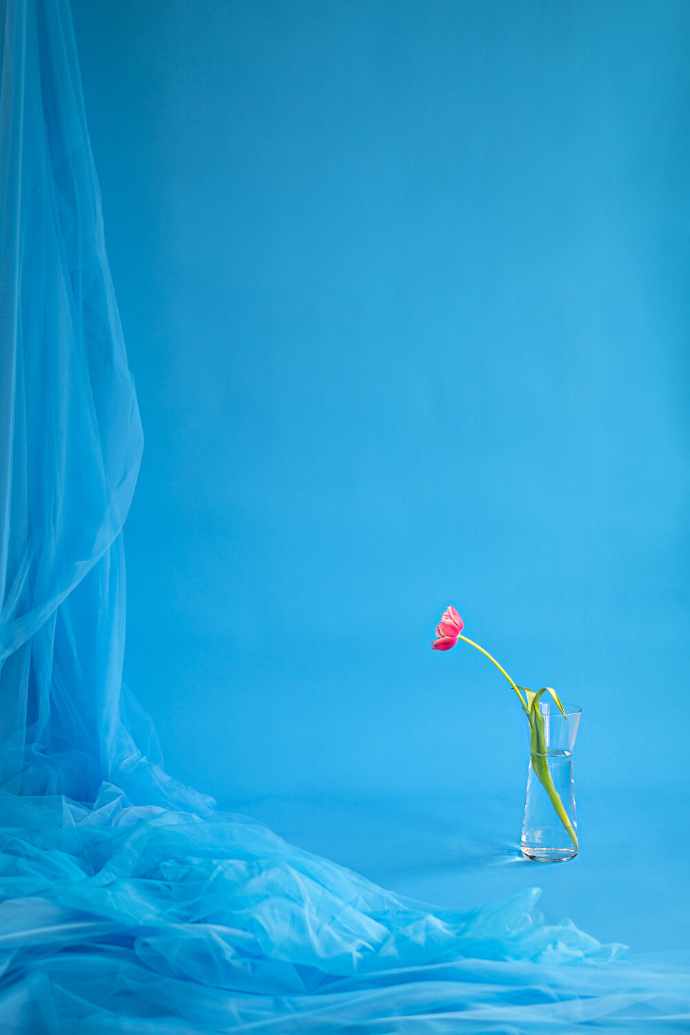 Photo #13907312