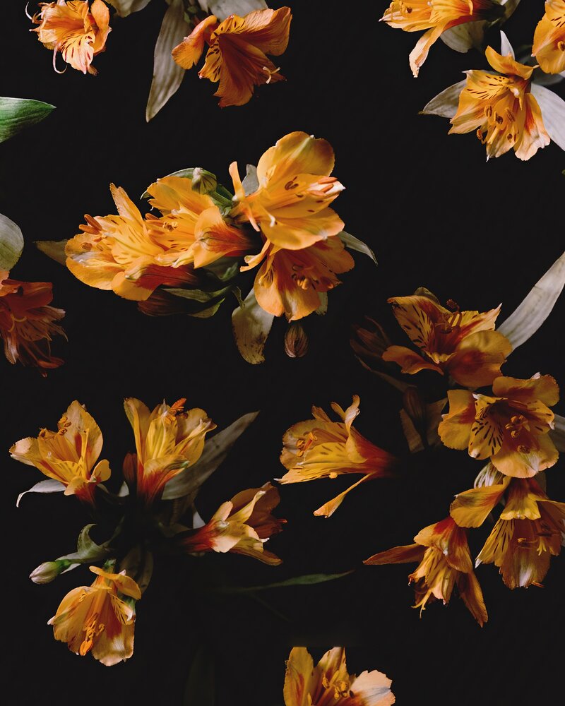 Photograph by Zamira Sozieva