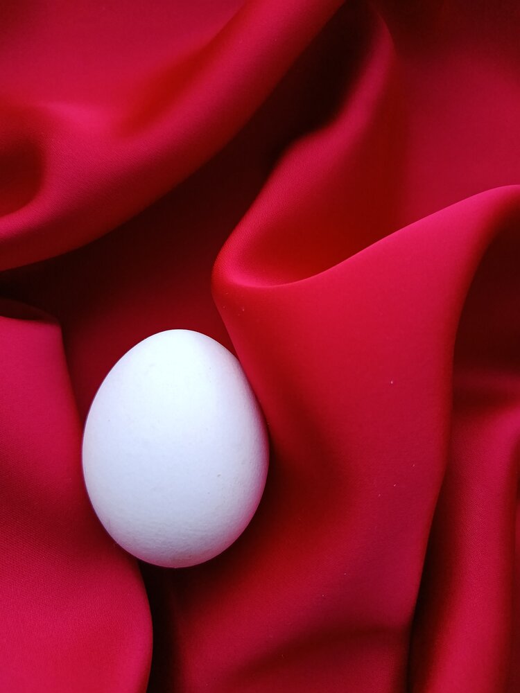 Photograph by Ольга Пашкова
