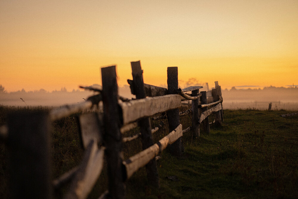 Photograph by Юлия Павлова