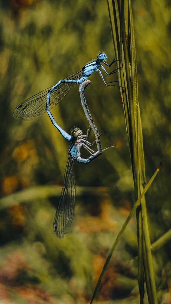 Photograph by Лейсан Авзалова