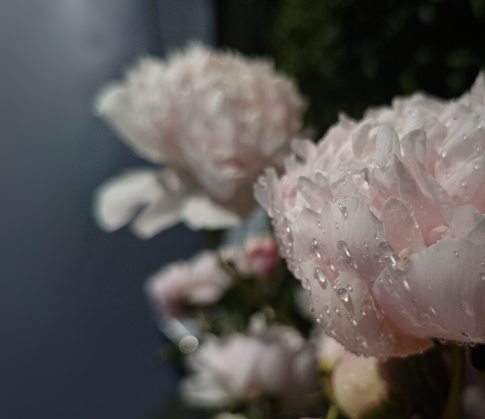 Photo #13907441